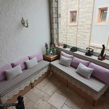 Galya アラカティ