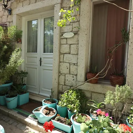 ホテル Galya アラカティ