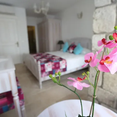 ホテル Galya アラカティ